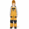DC Roadblock Youth Snowboard Bibs