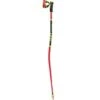 Leki WCR GS 3D Aluminum Alpine Ski Race Poles | 2026