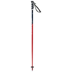 Swix WC Jr SL Ski Poles